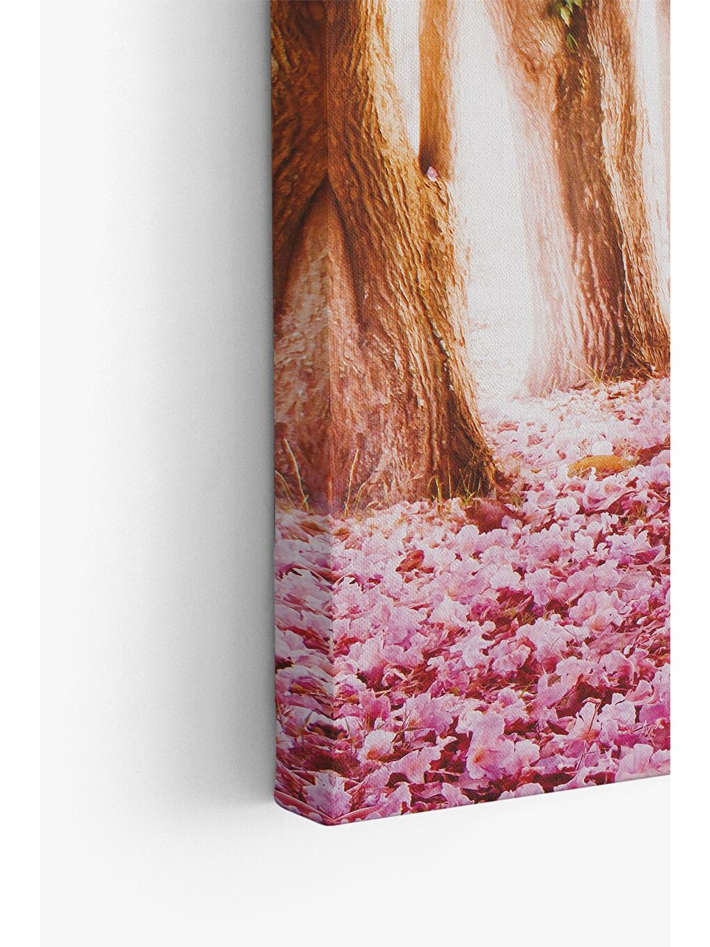 Beyaz Dekoratif Kanvas Tablo - FDC229 - ERSYFDC229-70100-3