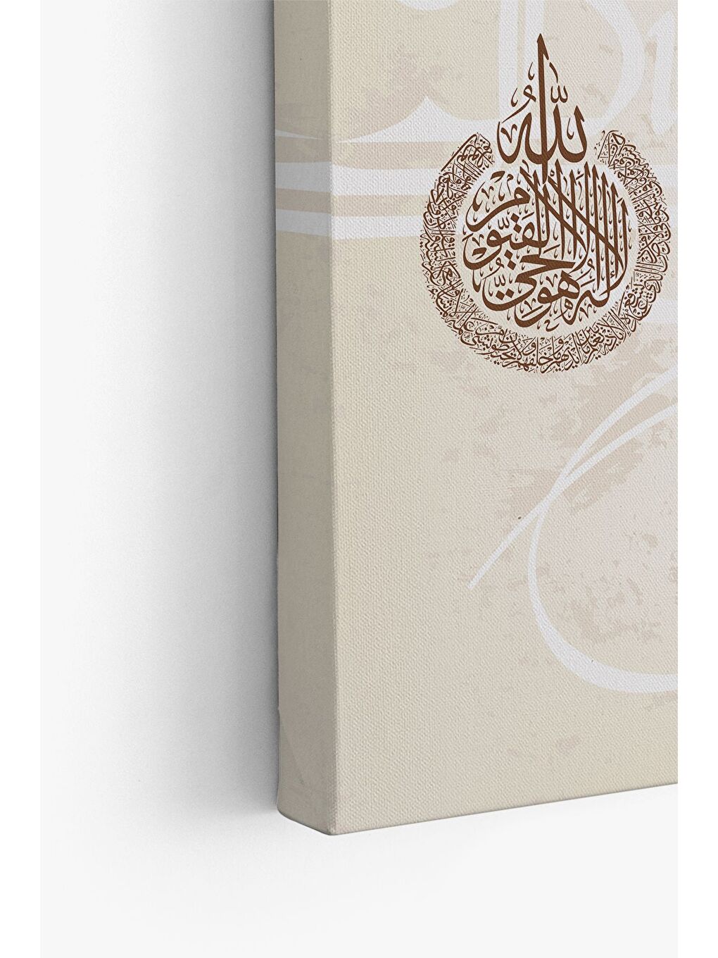 Beyaz Dekoratif Kanvas Tablo - FDC304 - ERSYFDC304-4060-3