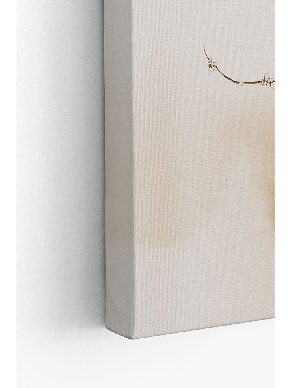 Beyaz Dekoratif Kanvas Tablo - FDC32 - ERSYFDC32-4060-3