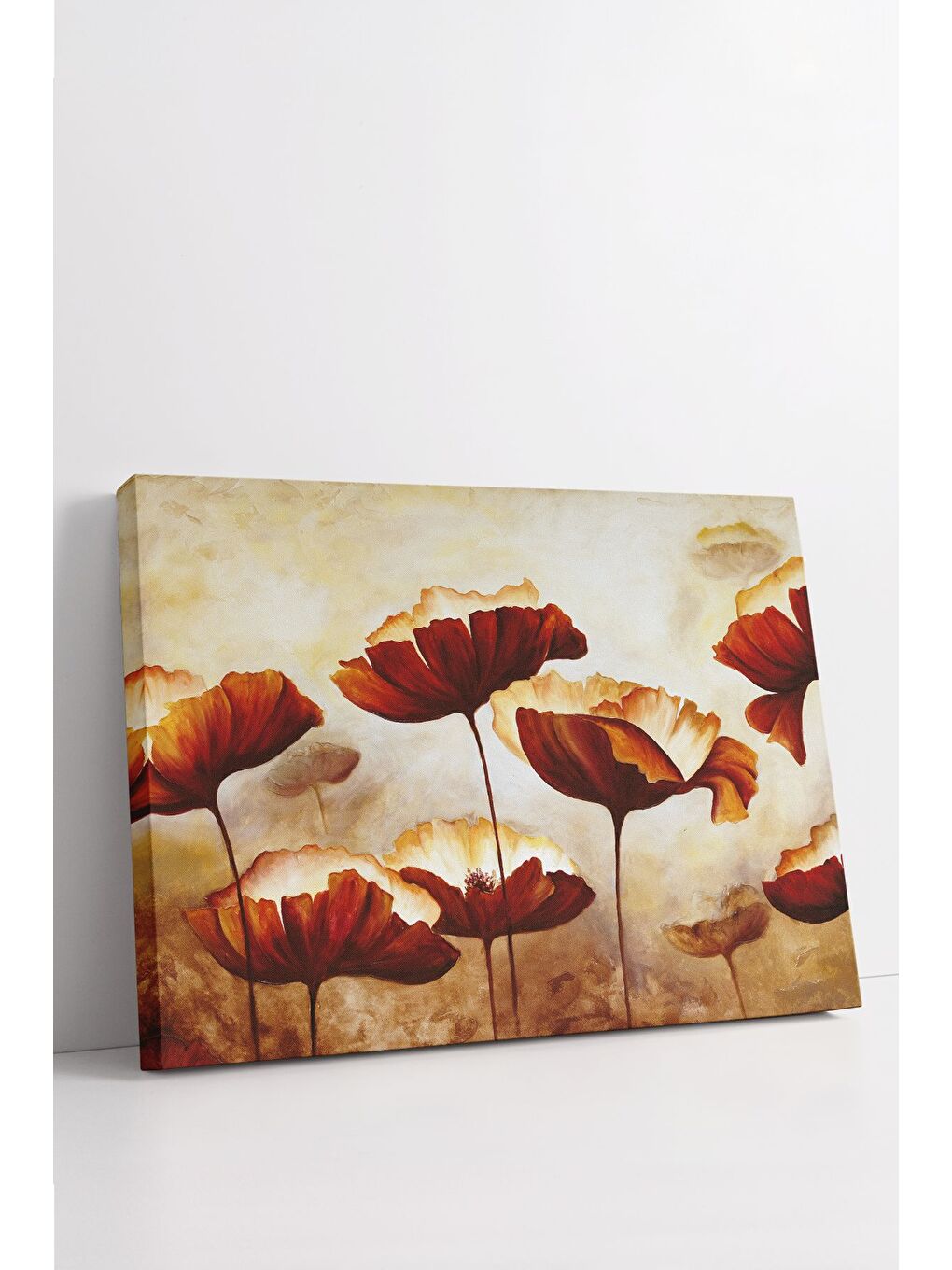 Beyaz Dekoratif Kanvas Tablo - FDC35 - ERSYFDC35-4060-2