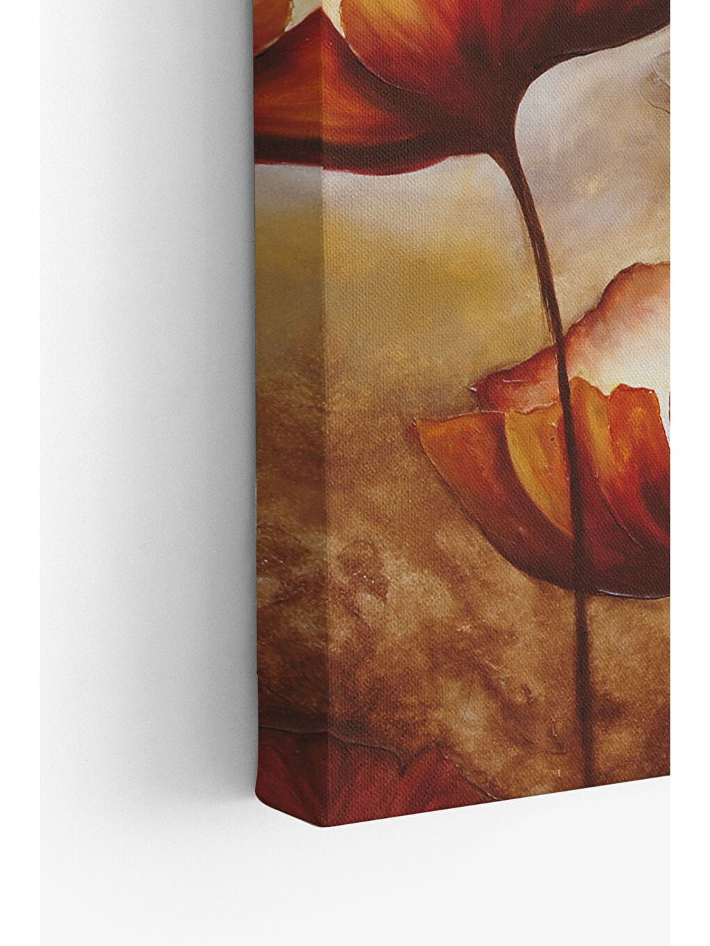 Beyaz Dekoratif Kanvas Tablo - FDC35 - ERSYFDC35-4060-3