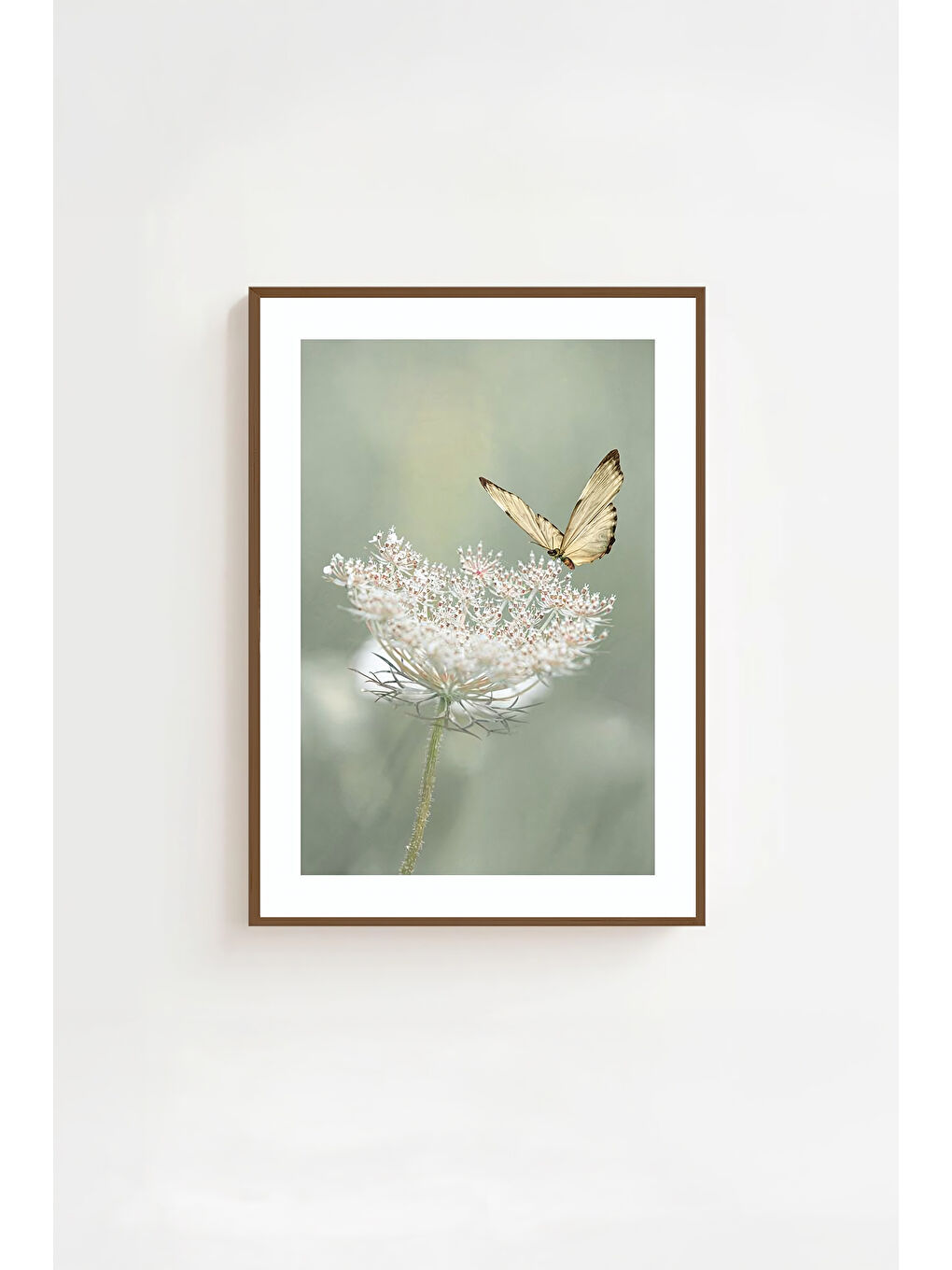 Beyaz Tek Parça Kahverengi Gerçek Ahşap Çerçeveli Tablo Seti - Model 37 - ERSYKHVCRV37-2030-1