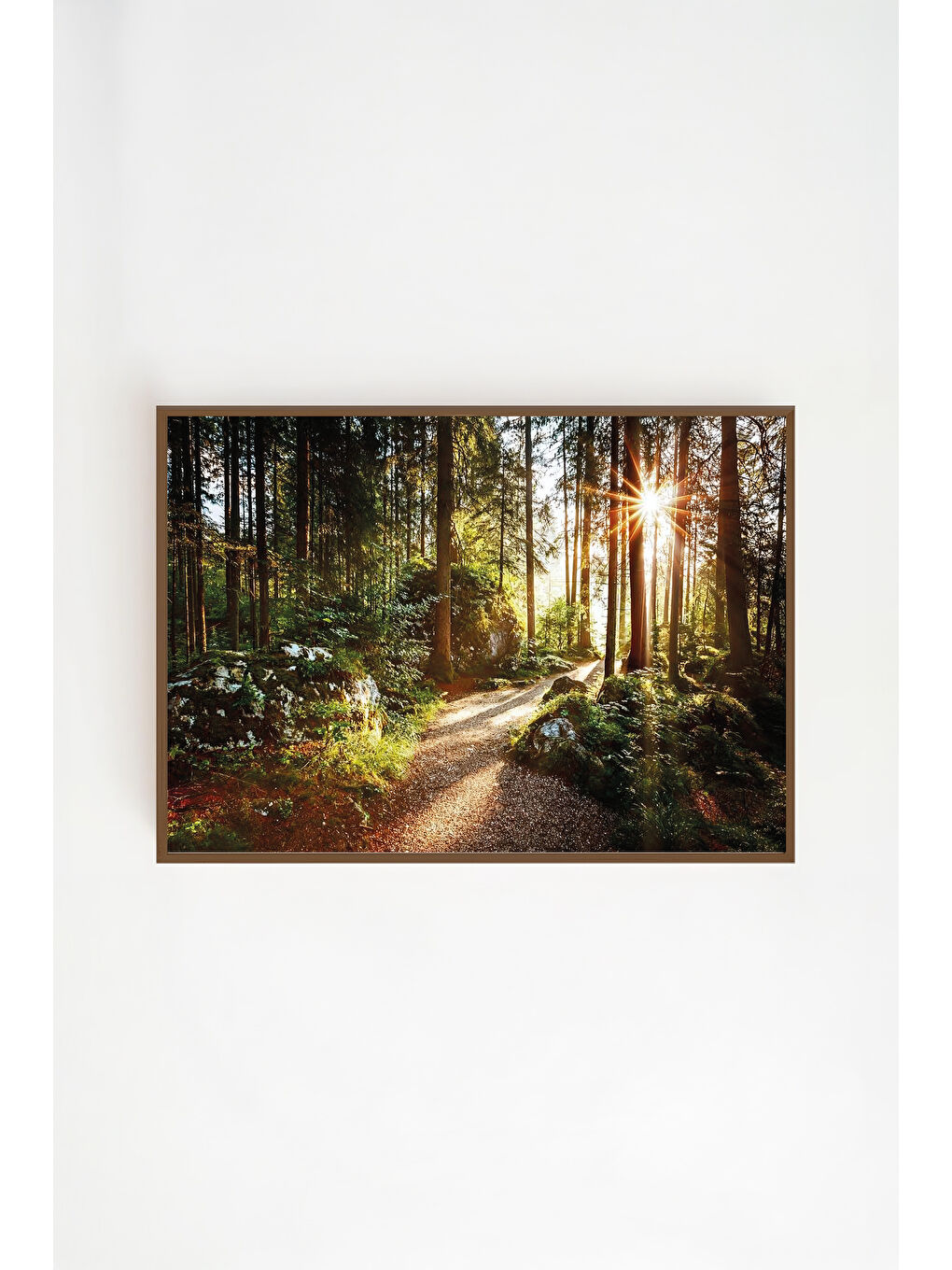 Beyaz Tek Parça Kahverengi Gerçek Ahşap Çerçeveli Tablo Seti - Model 4 - ERSYKHVCRV4-3348-1