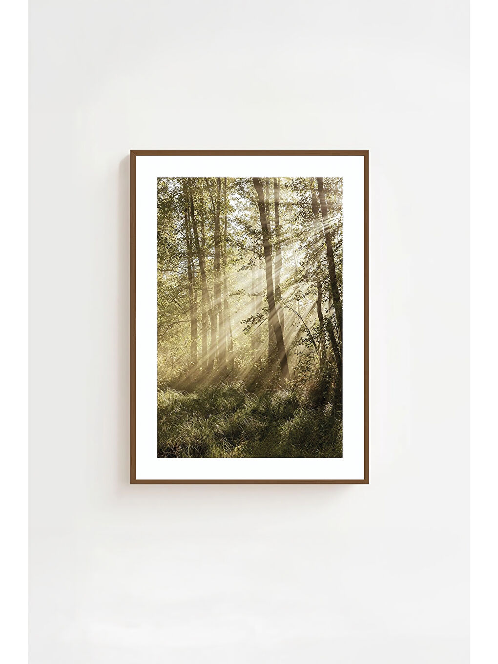 Beyaz Tek Parça Kahverengi Gerçek Ahşap Çerçeveli Tablo Seti - Model 7 - ERSYKHVCRV7-2030-1