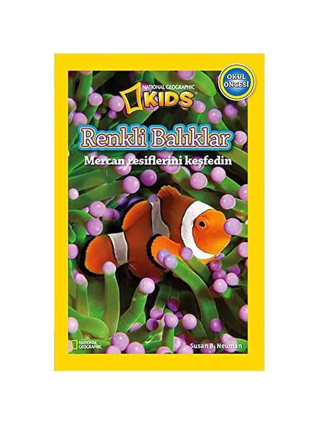 Beta Kids National Geographic Kids Okul Öncesi / Renkli Balıklar - KTP