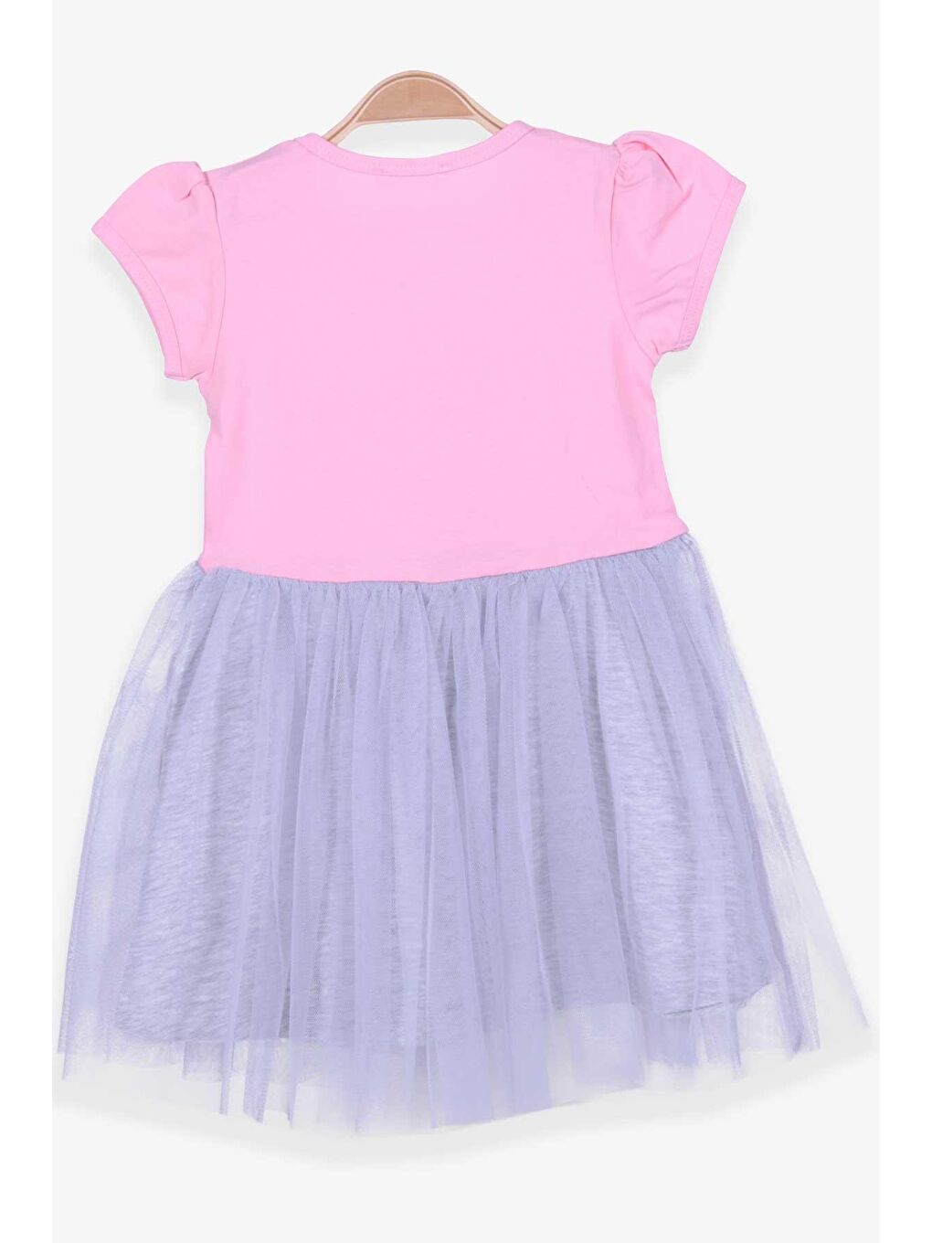 Pembe Kız Çocuk Elbise Nakışlı Pullu Pudra (3-4 Yaş)-2