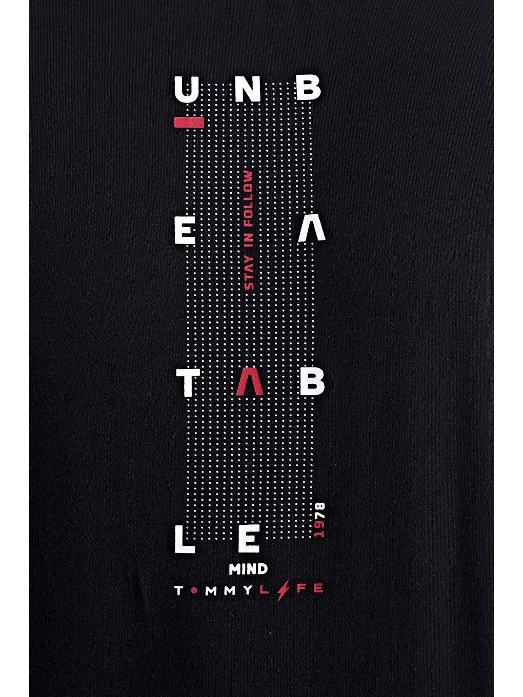 Siyah Kol Şerit Detaylı O Yaka Standart Kalıp Erkek Tişört - 88234-1