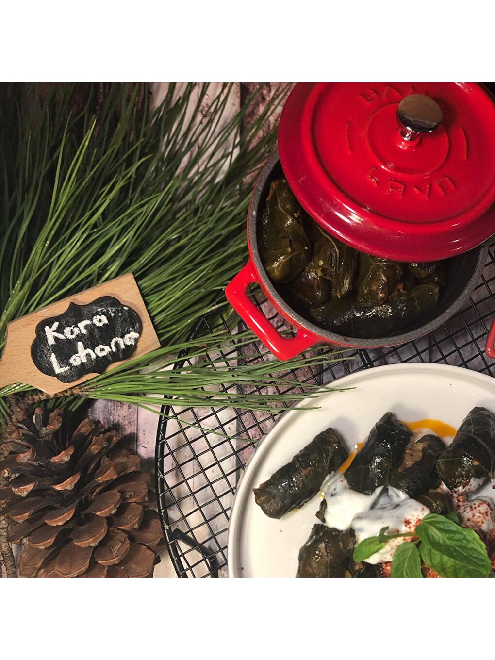 Kırmızı Yuvarlak Tencere. Trendy Çap(Ø) 16cm.-3