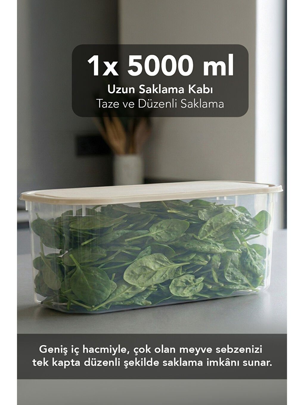 Bej Saklama Kabı Seti-1