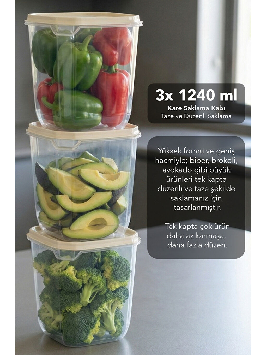 Bej Saklama Kabı Seti-2