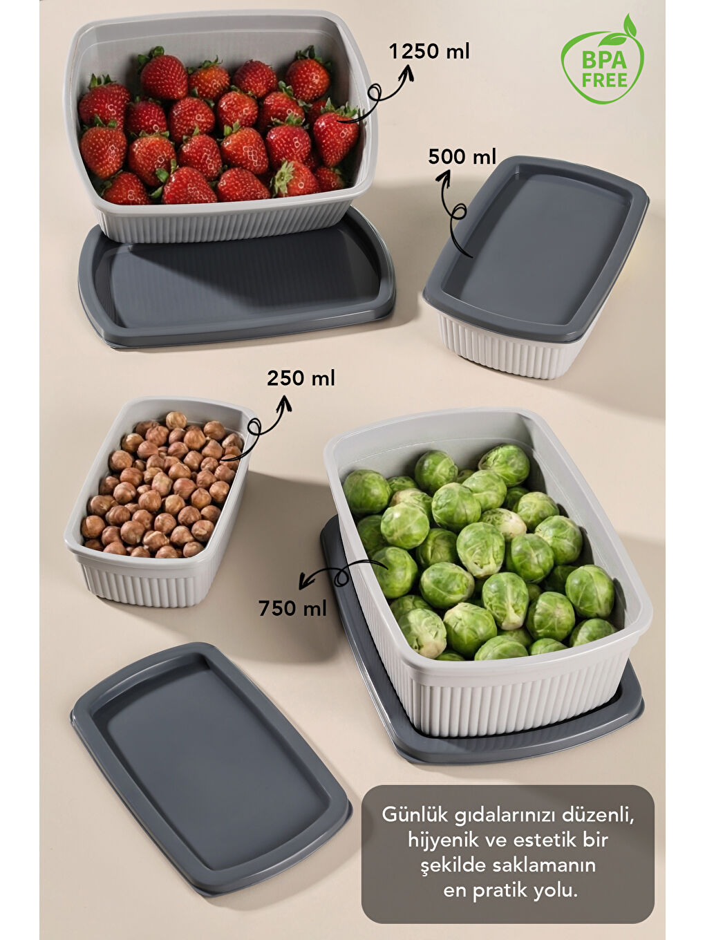 Gri 12'li Çizgili Dikdörtgen Gıda Saklama Kabı Seti-1