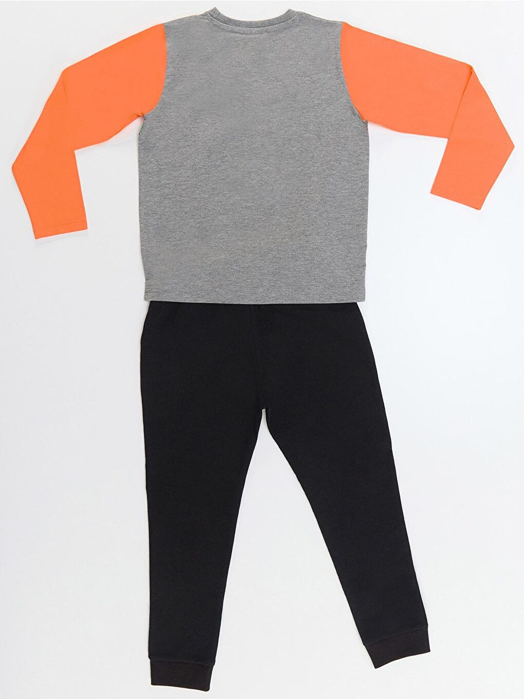 Karışık T-rex Dinozor Erkek Çocuk Tişört Pantolon Takım-3