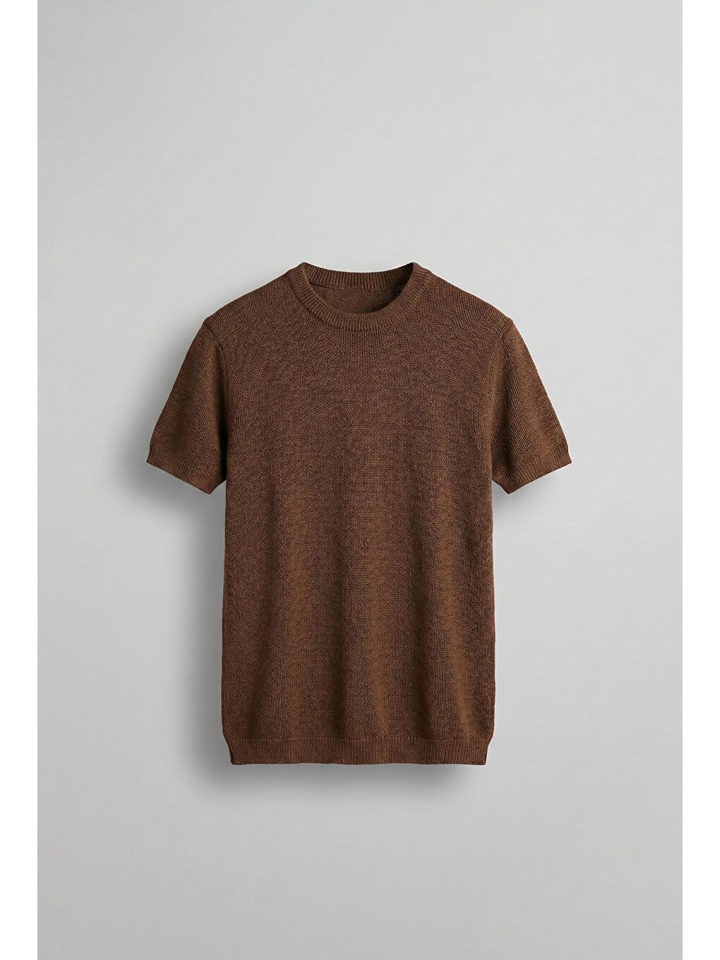 Kahverengi Erkek Regular Fit Bisiklet Yaka Esnek Triko T-Shirt Kahve