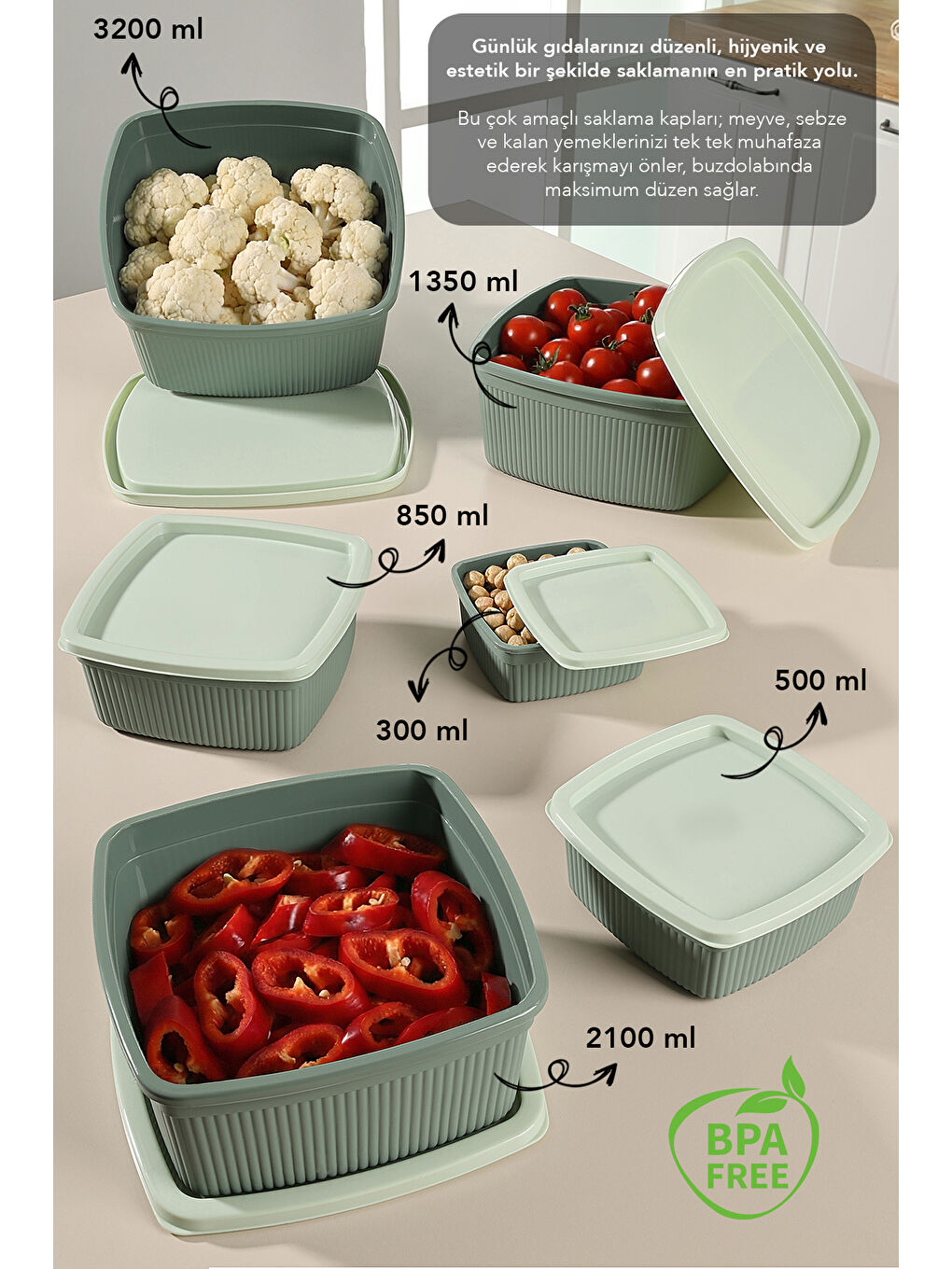 Yeşil 12'li Çizgili Kare Erzak Gıda Saklama Kabı Seti-1