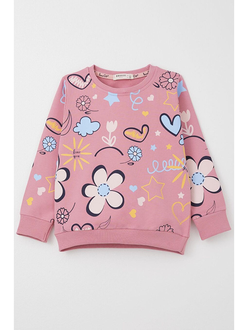 Pembe Kız Çocuk Sweatshirt Bahar Temalı Çiçek Desenli Gülkurusu (2-3 Yaş)-3
