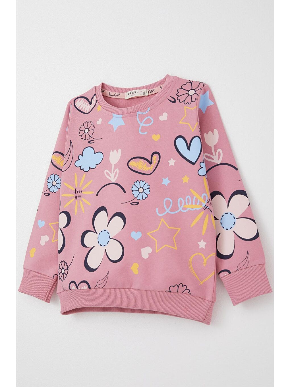 Pembe Kız Çocuk Sweatshirt Bahar Temalı Çiçek Desenli Gülkurusu (2-3 Yaş)-5
