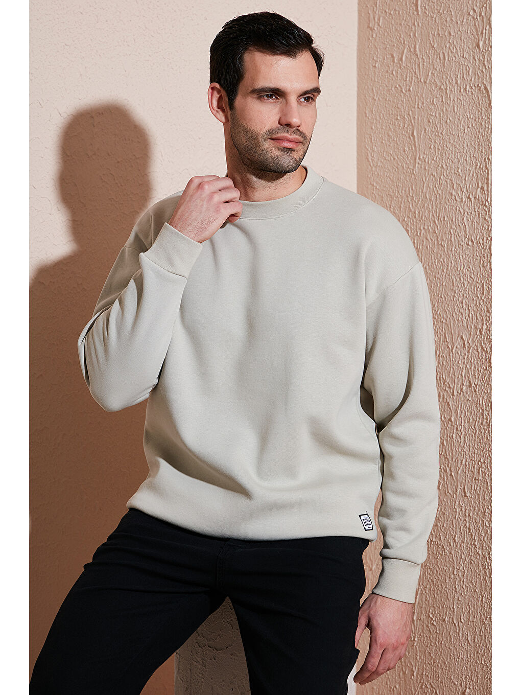 Ekru Regular Fit Bisiklet Yaka Pamuklu İçi Tüylü Yumuşak Şardonlu Erkek Sweat 5905255