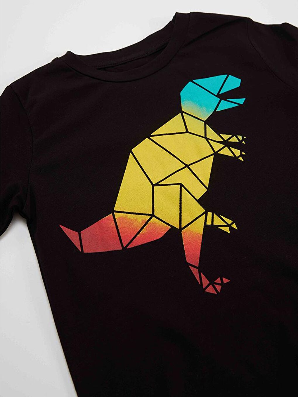 MSHB&G Karışık Geometrik Dino Erkek Çocuk T-shirt Pantolon Takım - 4