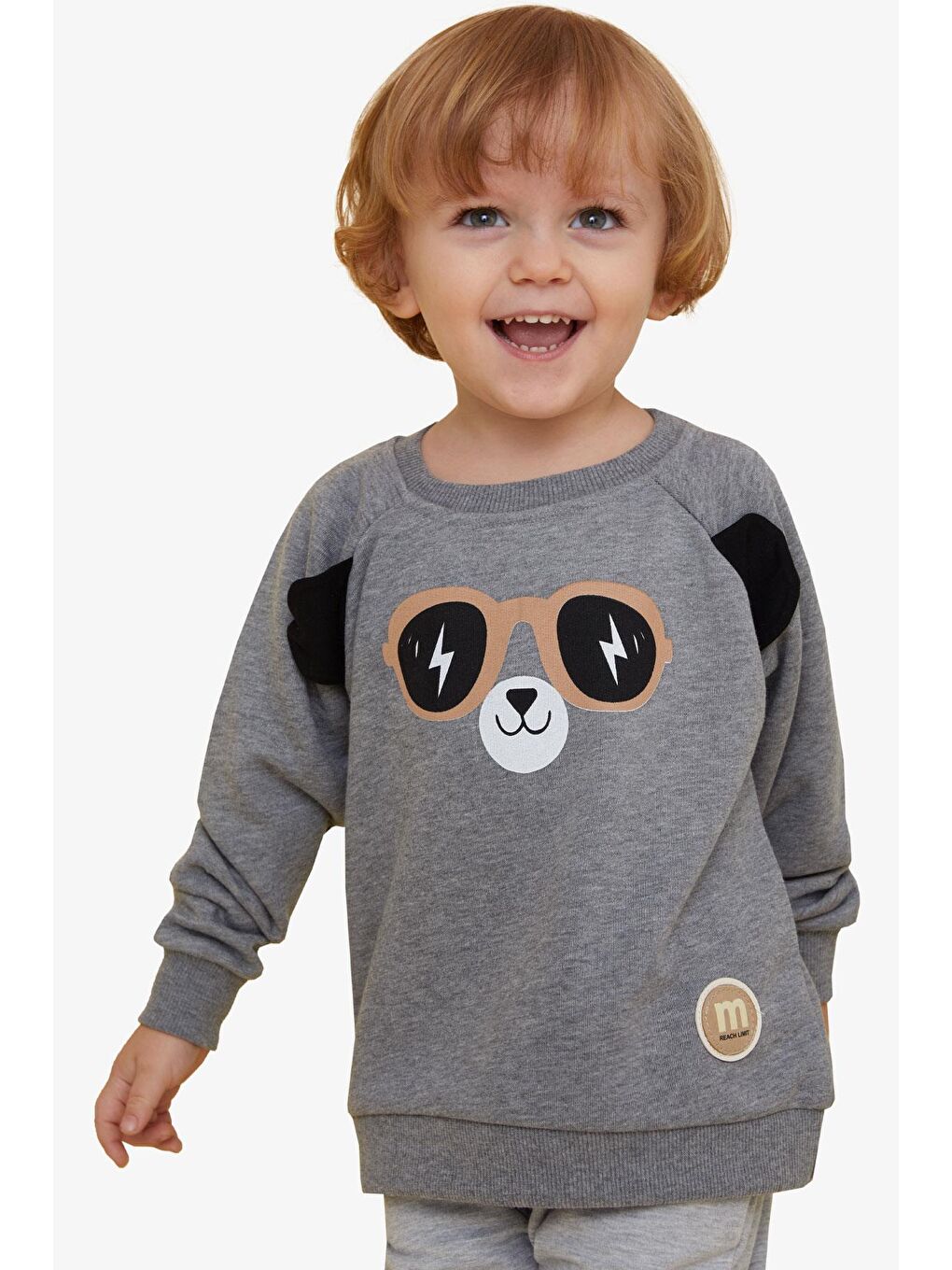 Erkek Çocuk Sweatshirt Sevimli Ayıcık Baskılı Kulakları Hareketli Koyu Gri Melanj (2-6 Yaş)-4