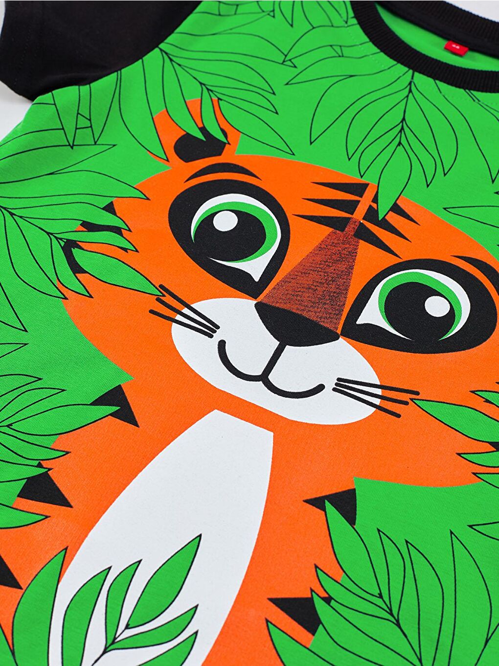 Karışık Jr Leo Erkek Baggy Takım-4