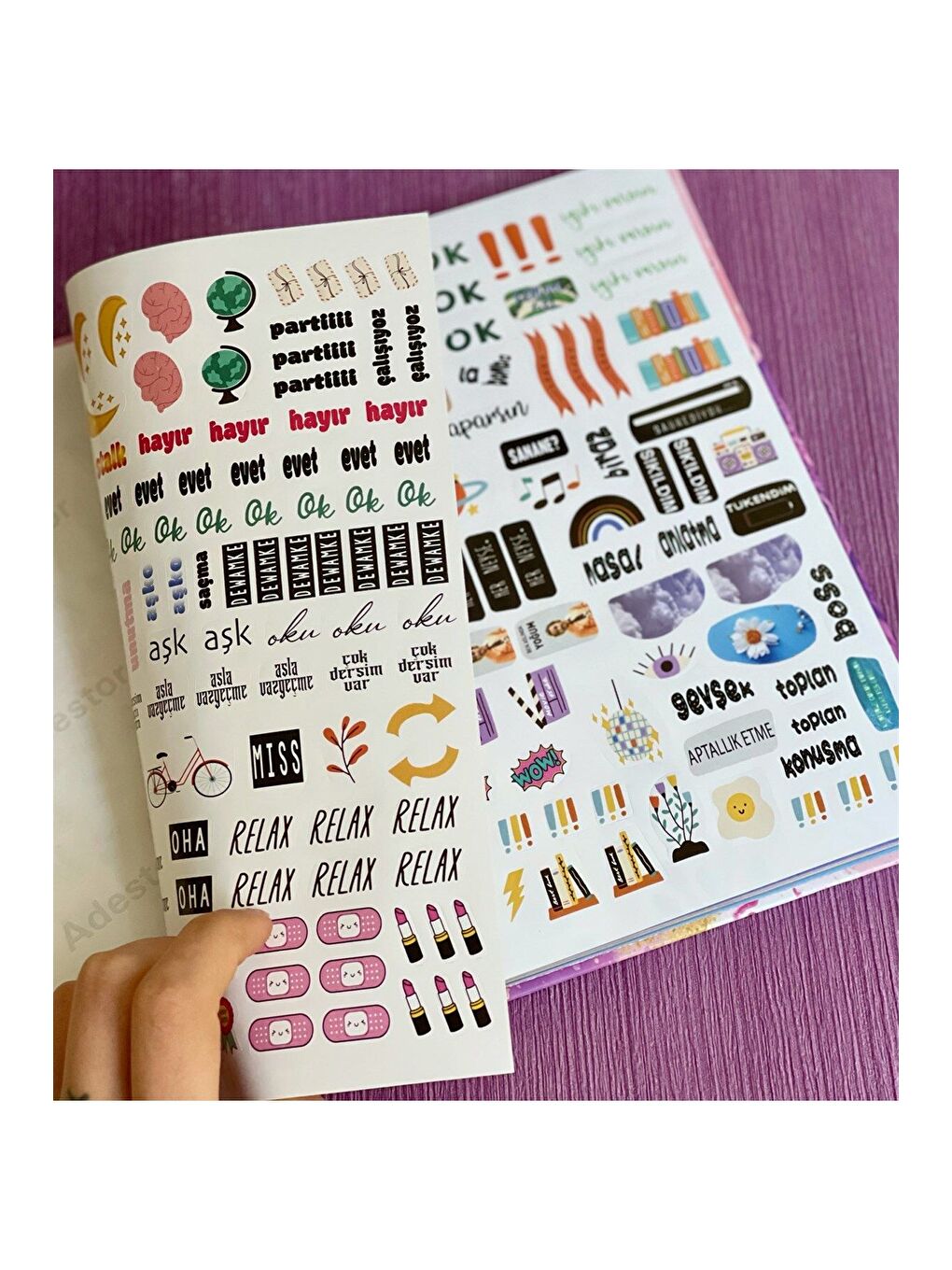 Hayallerinin Peşinden Git Tasarımlı Konuşan Ajanda-3