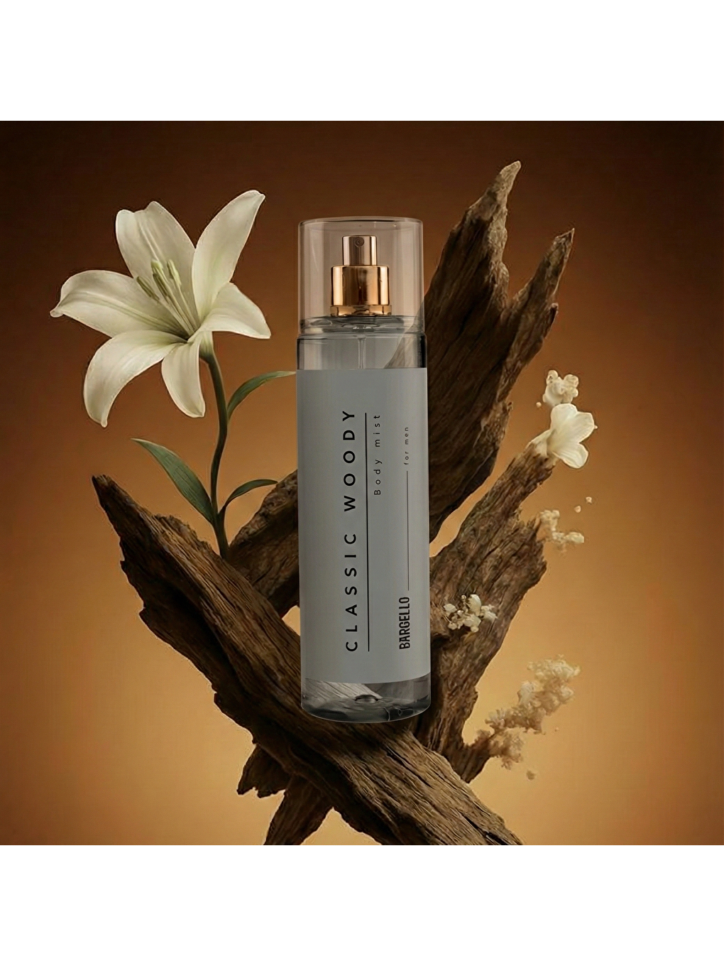 Erkek Odunsu Vücut Spreyi 210ml-2