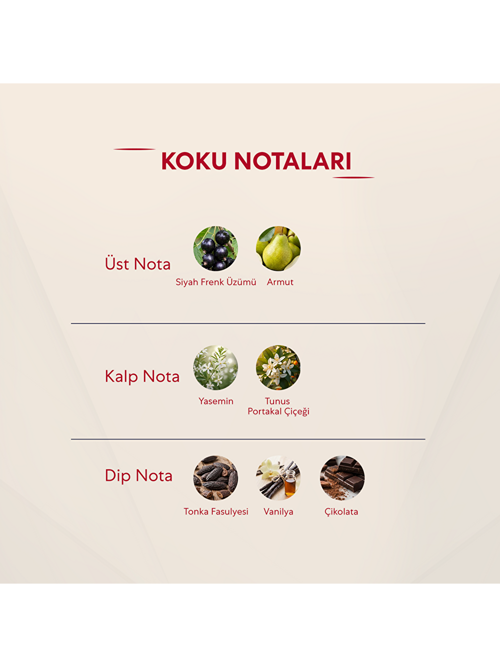 Kadın Oriental Vücut Spreyi 210ml Noir-2