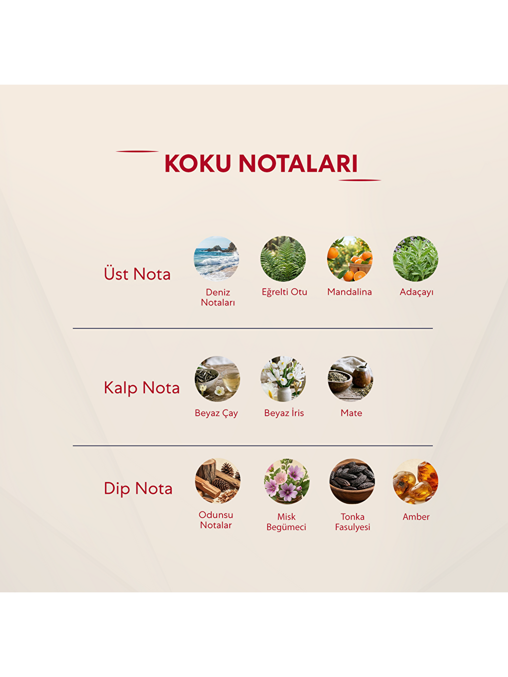 450 Kadin 50 Ml Parfüm Edp Floral-2