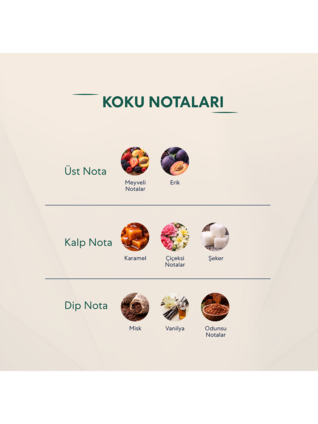 No.598 Unisex 210 Ml Body Mist-2