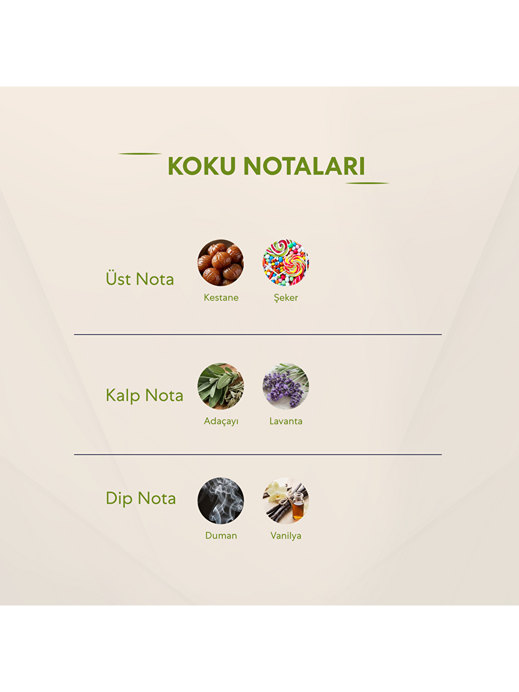 Erkek Deodorant - 150ml No:709-2