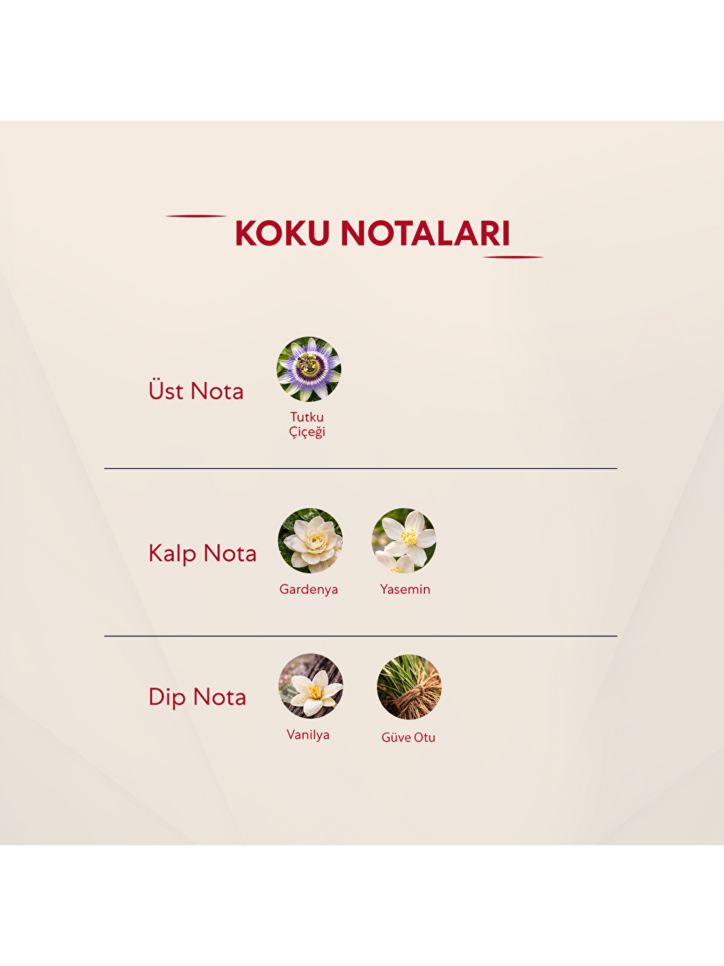 Kadın Parfüm Oryantal 50ml No:170-2