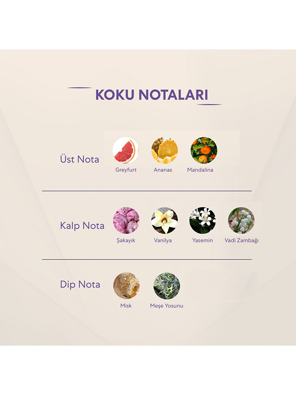 Kadın Deodorant - 150ml No:384-2