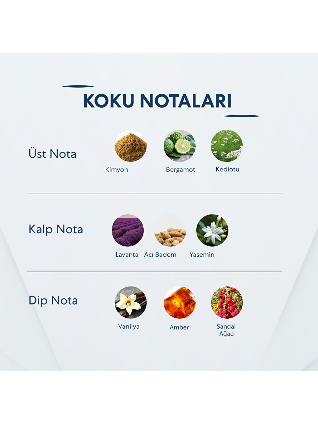 Breeze Erkek 50 Ml Parfüm Edp-1