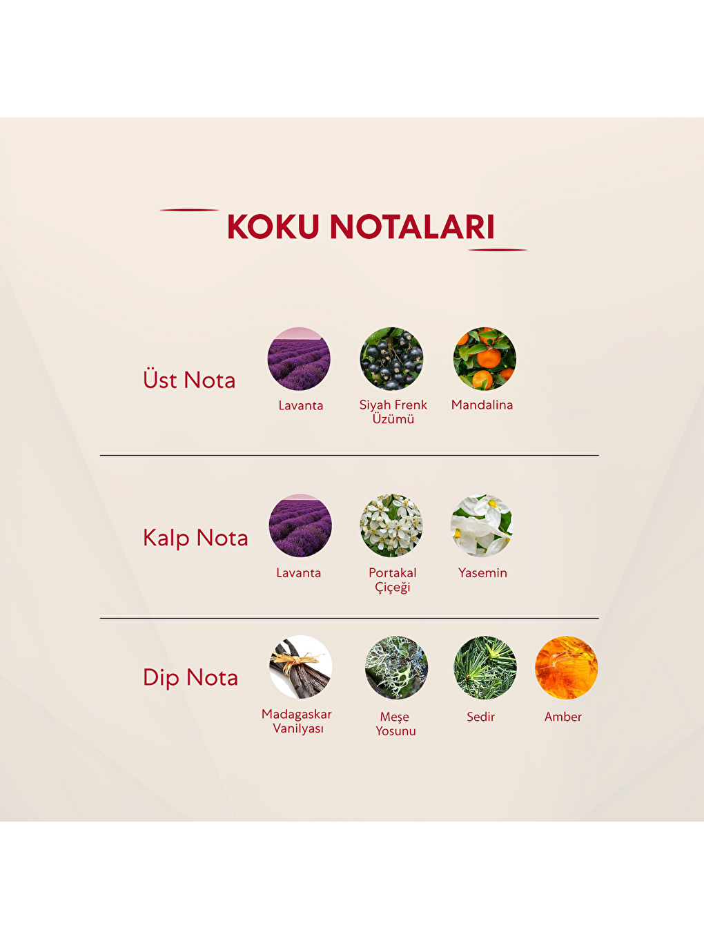 Kadın Parfüm Oryantal 50ml Edp No:228-2