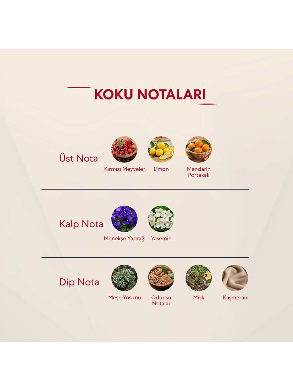 Kadın Çiçeksi Parfüm 50ml No:423-2