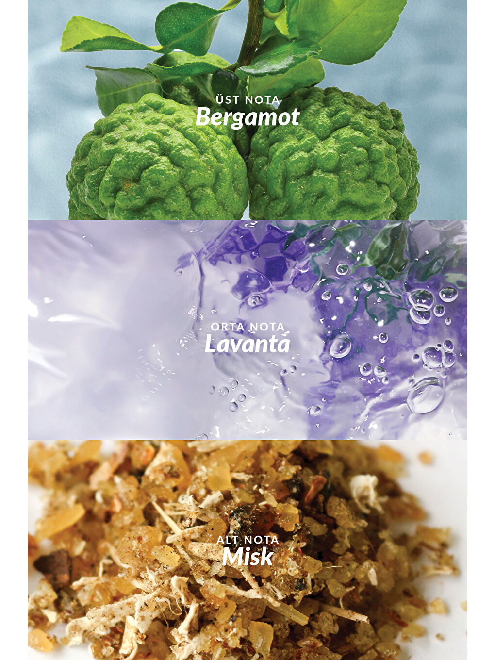 Individual Blue Erkek Parfüm Deodorant Rollon 3'lü Set-4