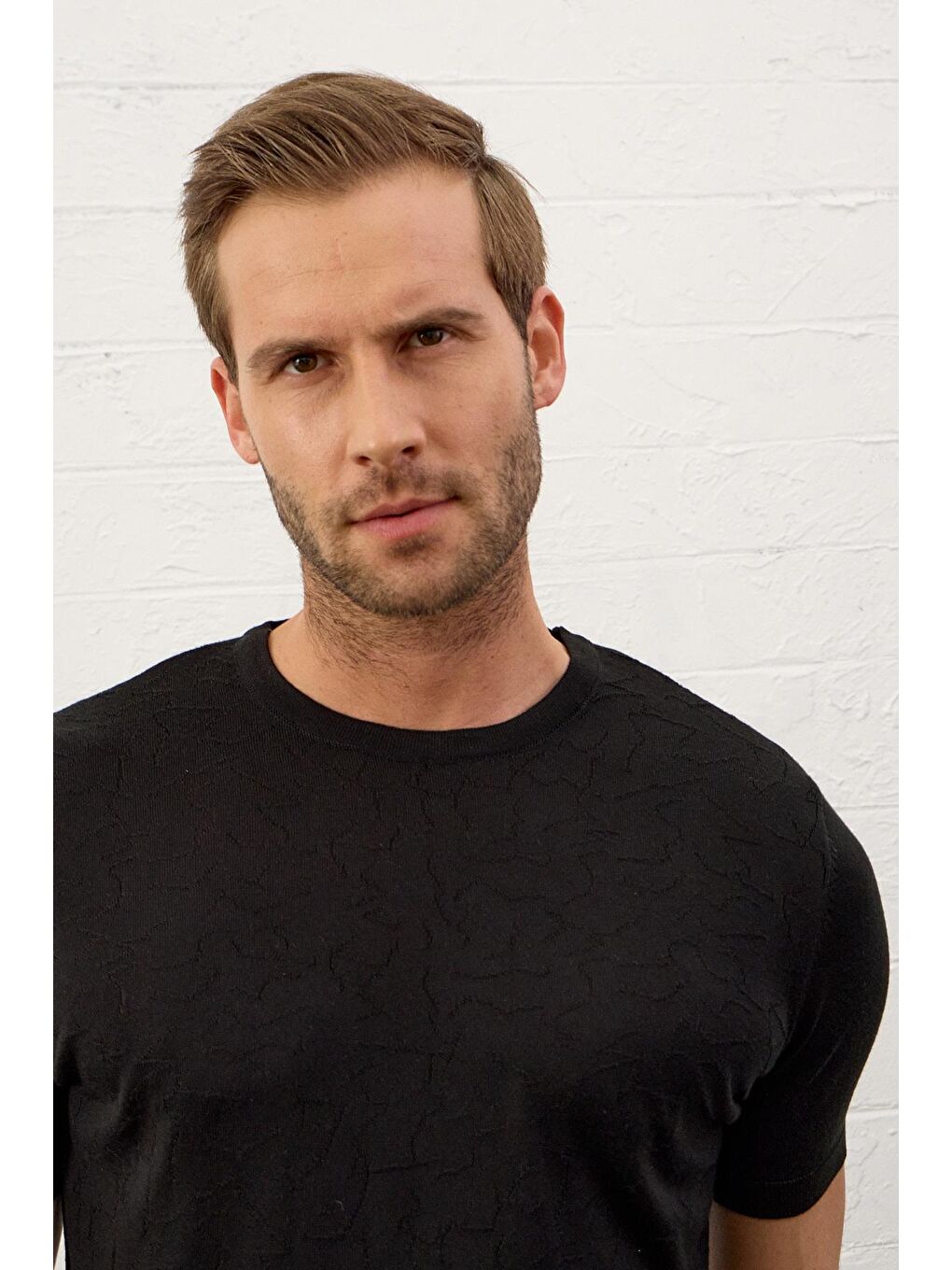 Modelli Bisiklet Yaka Slim-Fit Yazlık Triko Tişört Siyah-1