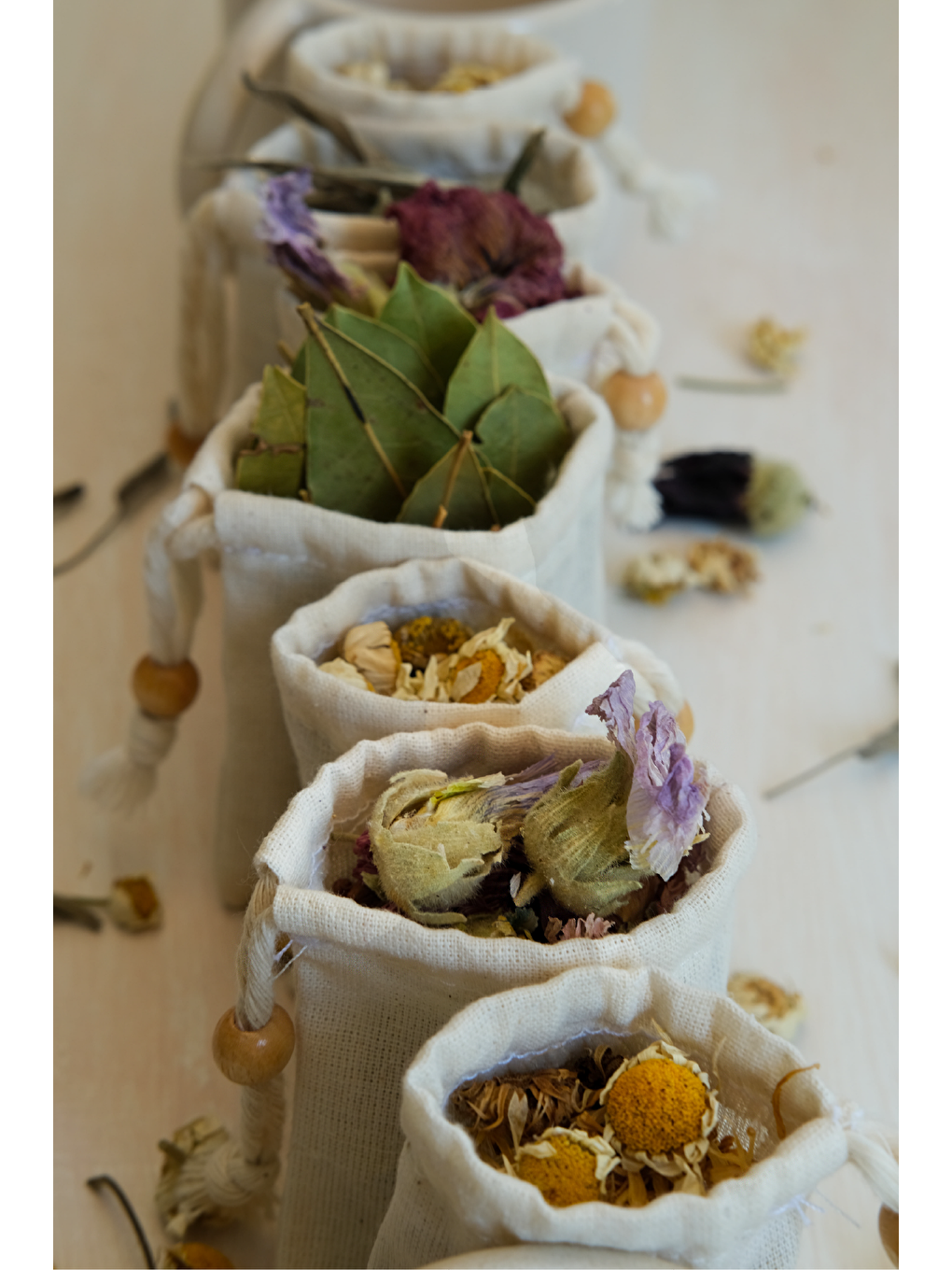 Bej Yıkanabilir Demleme Kesesi 3'lü Set (2xS-M)-2