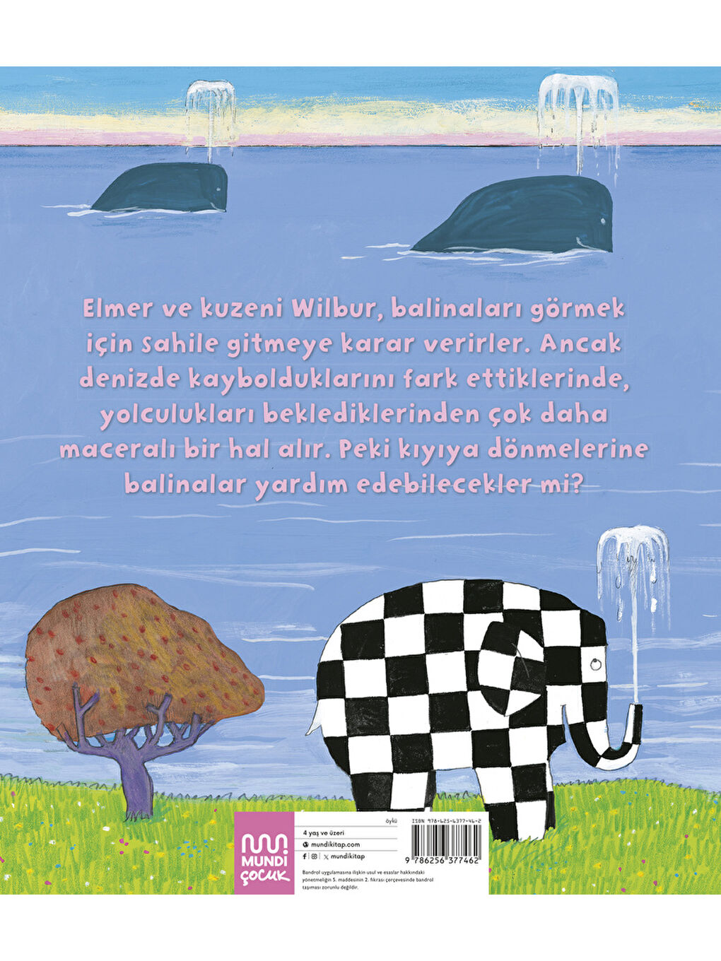 Elmer ve Balinalar-2