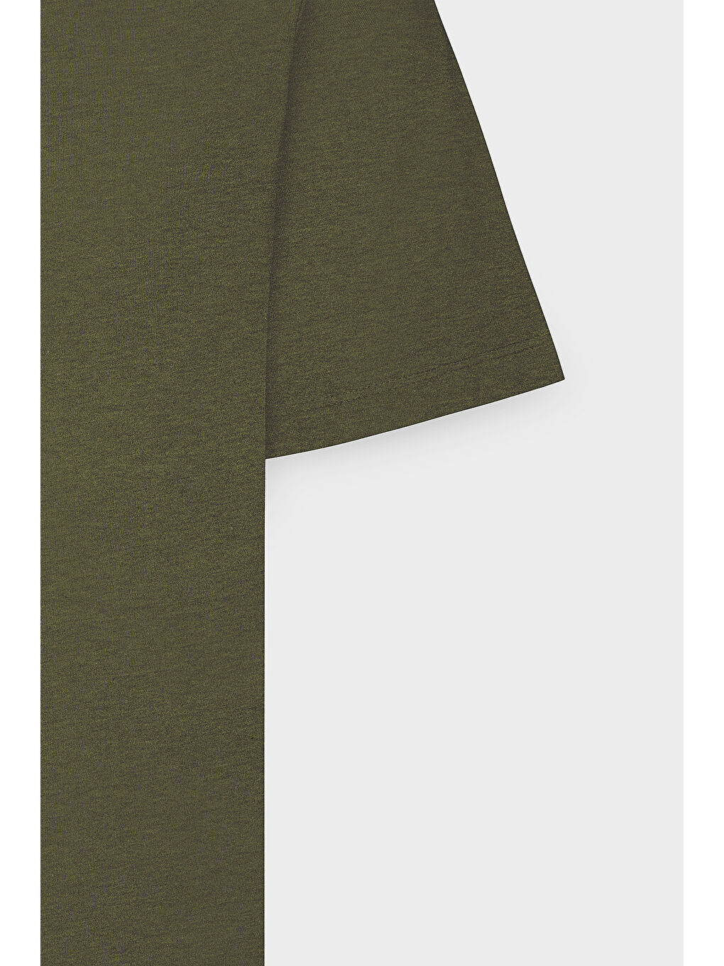 Erkek Haki Slim Fit Dar Kesim %100 Pamuk Bisiklet Yaka Kısa Kollu Tişört-11
