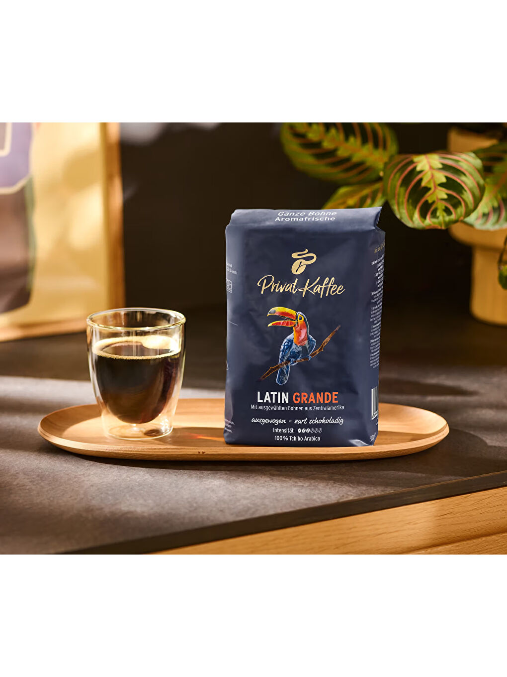 Privat Kaffee Latin Grande Çekirdek Kahve 500 g-3