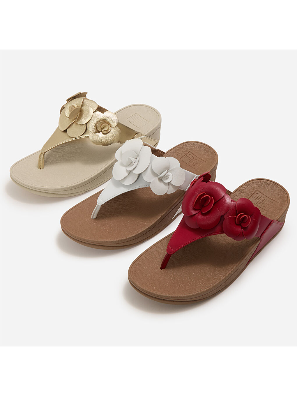 Kadın Beyaz Rengi Parmak Arası Terlik-5