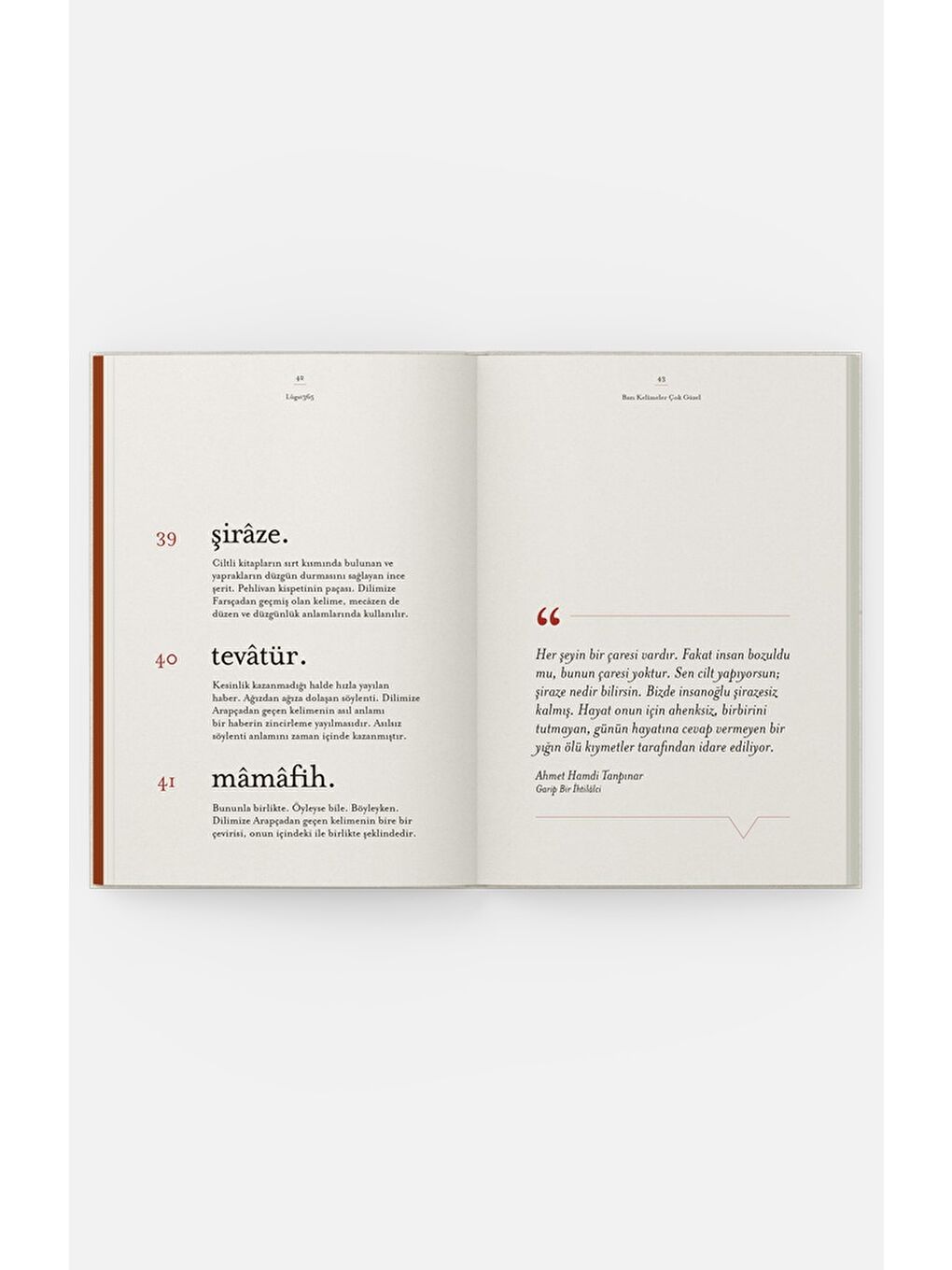 Lûgat 365 - Bazı Kelimeler Çok Güzel-2