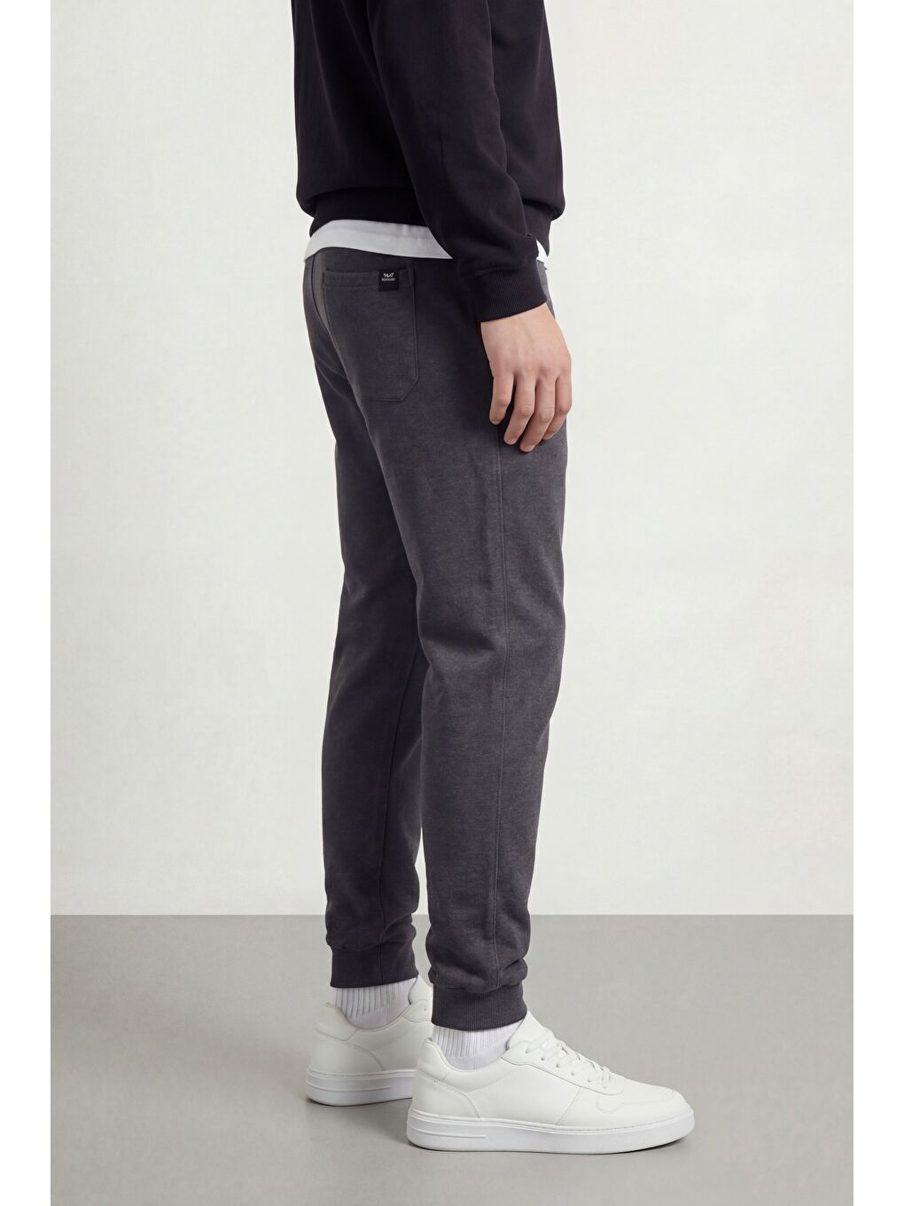 Antrasit Arka Cep Etiket Detaylı Paça Lastikli Regular Fit Erkek Büyük Beden Jogger Eşofman Altı-2