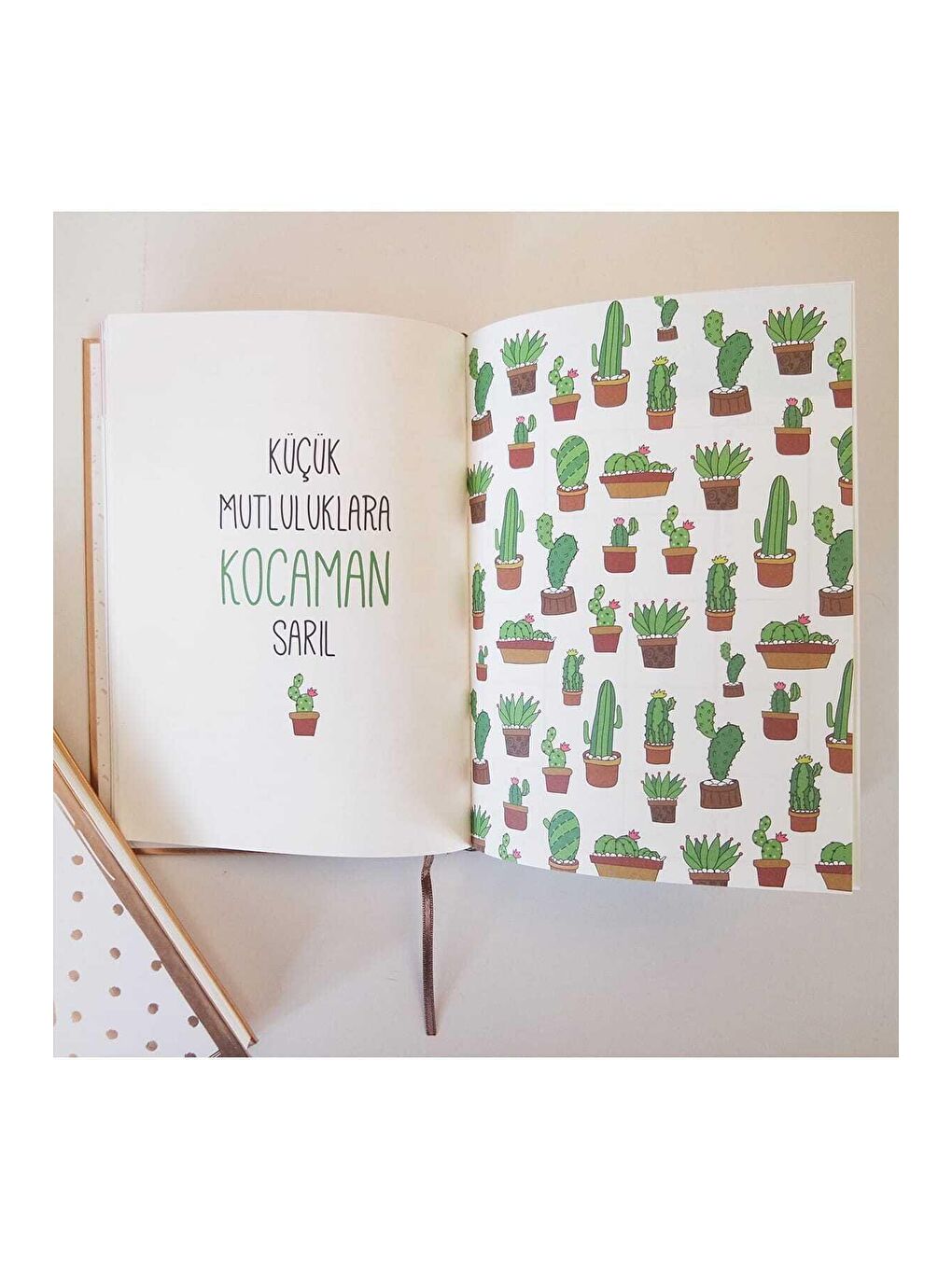 Rosegold 365 Mutlu Yeni Gün Ajandası-3