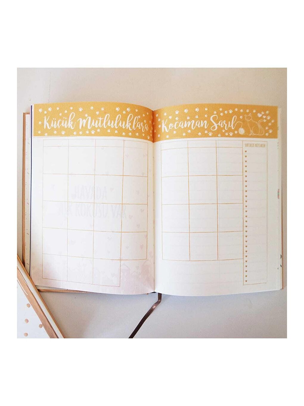 Rosegold 365 Mutlu Yeni Gün Ajandası-4