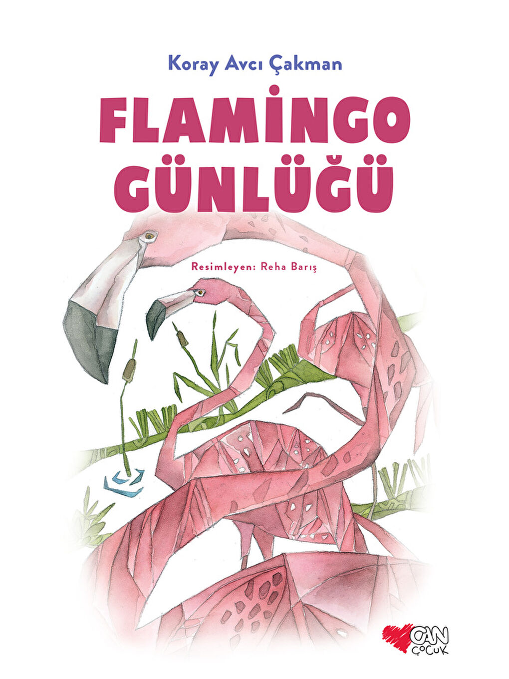 Can Çocuk Yayınları Flamingo Günlüğü