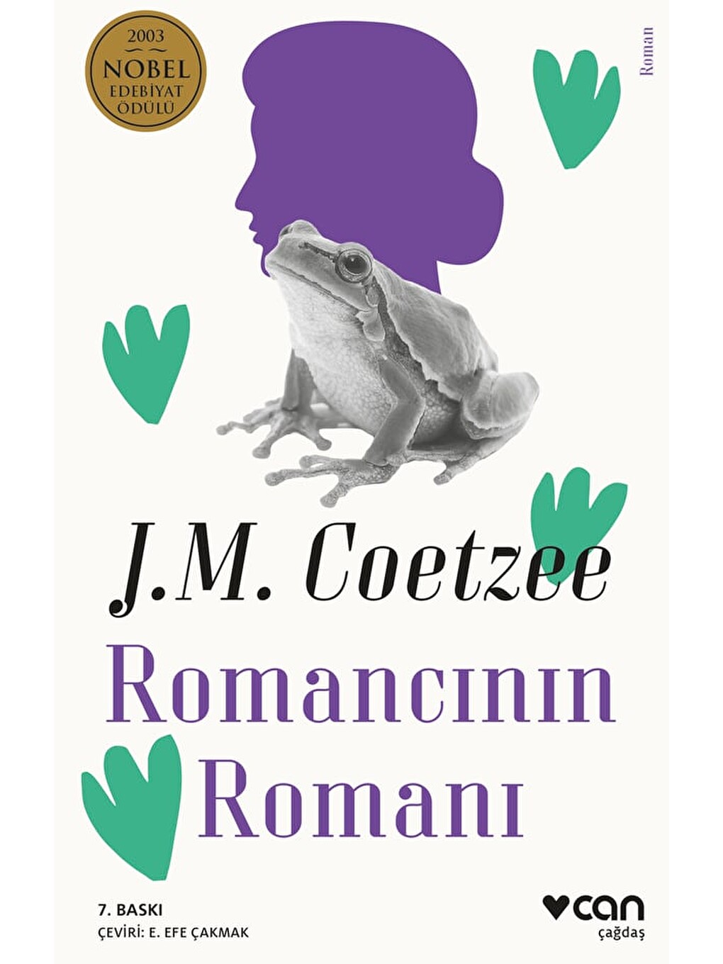Romancının Romanı