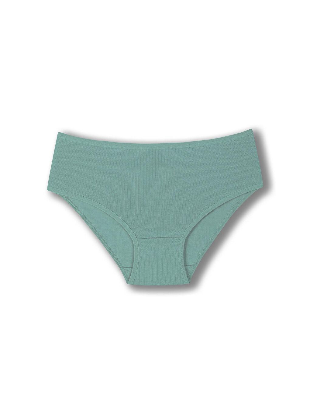 Pembe Pamuklu Fitilli Yüksek Bel Büyük Beden Kadın Külot 3'lü-3