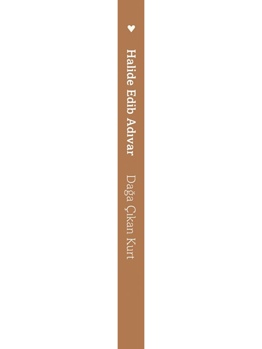 Dağa Çıkan-1